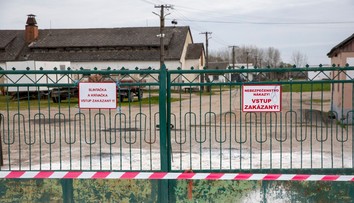 Slintavka a kulhavka se nebezpečně blíží. Podezření na ohnisko u českých hranic