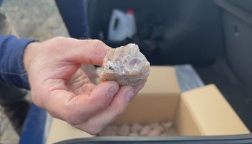 Krušnohorské lesy ničí kopáči polodrahokamů. Hrozí jim obrovské pokuty