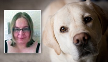Žena se natočila při sexu se psem. V telefonu měla i horší věci