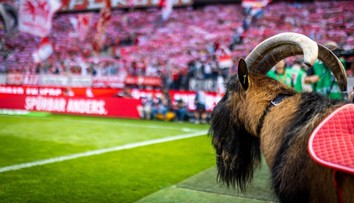 Po mlze na Slovácku další trable. Kolínu onemocněl kozel, má rýmu