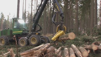 Muž měl prodávat dřevo za téměř 200 tisíc. Nikdy mu ale nepatřilo