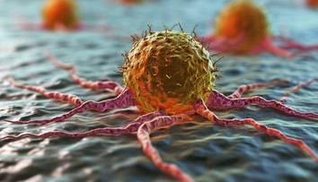 Čeští vědci objevili dosud neznámý virus. Je desetkrát větší, než je obvyklé