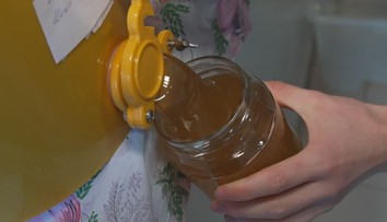 Zpřísní se pravidla pro dovoz medu. Vyhláška bojuje proti falšovaným výrobkům