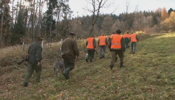 Vláda neplní svůj dluh vůči lesníkům. Stát jim má vyplatit miliardy
