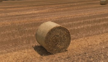 Bizarní spor o škodu na vozidle nadále pokračuje. Na vině je balík sena