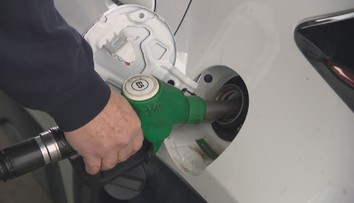 Nejúspornější auta v 9 kategoriích. Co udávají o spotřebě výrobci a jak je to v praxi