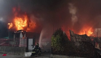 Chilské lesy pohltily požáry. Ve dvou regionech je vyhlášen stav katastrofy