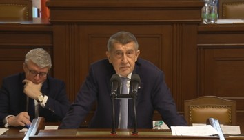 Soud v kauze Čapí hnízdo pokračuje bez Babiše. Chrání ho imunita