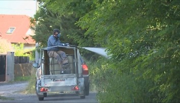 Jedovatým postřikem hubilo město plevel i u hřišť! Lidé si vymohli zákaz