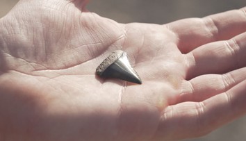 V Belgii se rozmohlo nové hobby. Lidé na plážích hledají fosílie