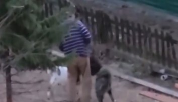 VIDEO: Kozu surově napadl pes. Majitel nechal zvíře trpět, není to prý poprvé