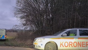 Hrůzný nález u Písku. Žena za městem našla 11 lidských lebek