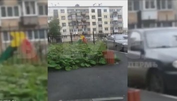 Kristinka chtěla prodat panenství, musela utéct po prostěradlech!