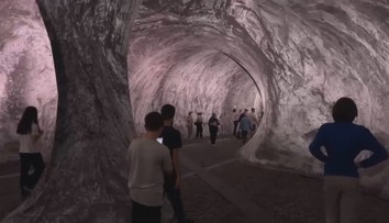 Úchvatná podívaná. Nejstarší pařížský most se proměnil v jeskyni
