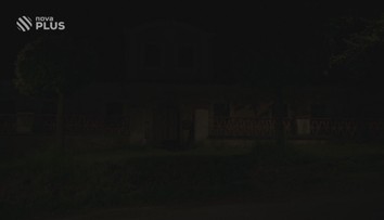 V lesích dozrávají OSTRUŽINY, zázrak na klouby, krásu i rakovinu