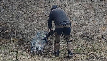 Zvrat v kauze týraných zvířat. Správce dostal ze státní obory výpověď