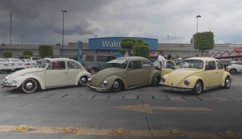 Malý, zaoblený a často pestrobarevný. Do Mexika se sjely stovky Brouků