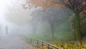 Varování meteorologů: Česko pohltily husté mlhy. Někde není vidět na 100 metrů