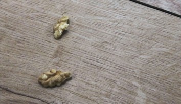 Ukážeme vám, jak se rychle zbavíte škrábanců na podlaze