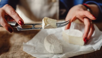 Lidé se bojí, že z obchodů zmizí plísňové sýry. Odborníci vysvětlují, jak to s nimi je