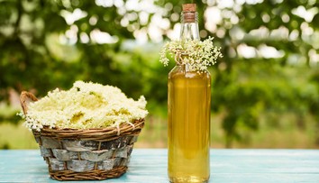 Recept na bezový sirup je hitem internetu! Vyjde jen na pár korun