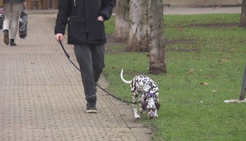 Praha naštvala pejskaře. Nová vyhláška určuje místa, kam mohou psi bez vodítka
