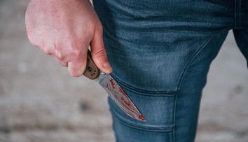 Brutálně zavraždil partnerku před očima dětí. Muž z Českolipska si odpyká výjimečný trest
