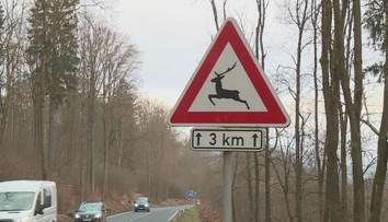Nejvyšší SRNA index je u Bezdězu. Zvířata tam řidiči sráží v jednom kuse