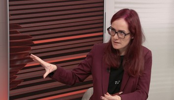 Kvůli vládě je Česko v Evropě na pranýři. Pro NATO nebude prioritou, vadí Gregorové