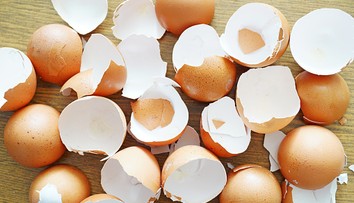 Dáváte prázdné skořápky do kartonu od vajec? Raději s tím přestaňte