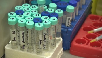 Neustále přibývá falešných stránek s léky. Prodávají předražené padělky
