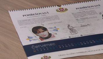 Mezinárodní den pohřešovaných dětí: Po některých se pátrá už řadu let