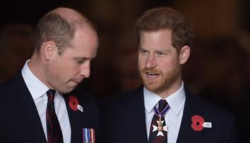 William to bude dlouho rozdýchávat. Na Harryho žárlí, tvrdí expert