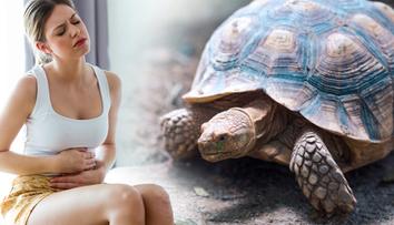 Bolí mě břicho, stěžovala si žena po party. Ve vagině jí našli želvu