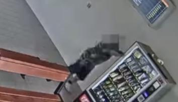 Muž hrál s automatem oslíčku otřes se. O vtípek ale nešlo, kradl z něj sladkosti