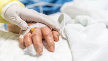 Češi vymírají rekordním tempem. Za tři čtvrtě roku přes 80 tisíc mrtvých