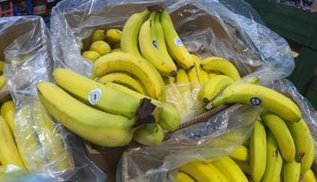 Kontrola supermarketů na Moravě: V Mohelnici příjemně překvapili