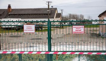 Slintavka a kulhavka se nebezpečně blíží. Podezření na ohnisko u českých hranic