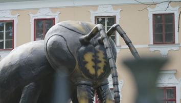 Populární zábavní park dostal zákaz provozu. Chybí mu potřebná povolení