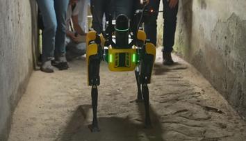 Tady hlídám já! Antické město Pompeje má strážit robotický pes