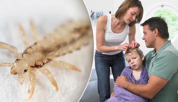 Vším se letos daří! Zaručené rady, které ochrání vaše školáky
