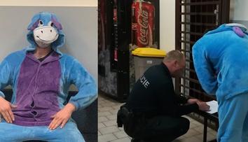 Muž řídil i přes zákaz. Policisté ho načapali v kostýmu oslíka Ijáčka!