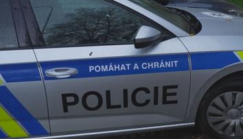 Policie pátrala po pacientovi z psychiatrické léčebny. Mohl být nebezpečný