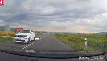 To je hrůza! Auto za sebou táhlo psa, vše zachytila palubní kamera