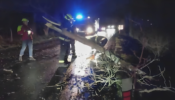 K tragédii chybělo jen málo. Na projíždějící auto spadla větev
