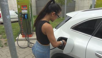 Prodejcům aut se loni v Česku dařilo. Populární byly i elektromobily