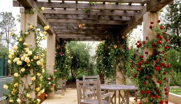 Pergola - kouzelná oáza klidu, která zkrášlí váš dům i zahradu