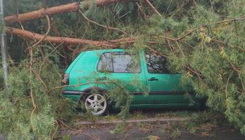 Hasiči měli kvůli bouřkám napilno. Na Novoborsku dokonce řádil downburst