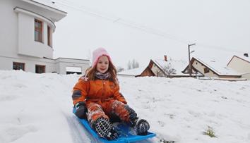 Češi zoufale shání boby! Tady jsou obchody, kde je mají! PŘEHLED