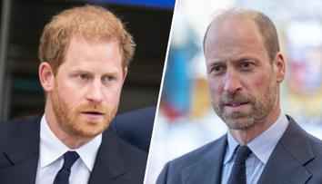 Odhalili skutečný důvod návratu Harryho a Meghan. William se obává nejhoršího